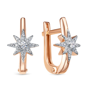 120613-фиа Серьги (Au 585)